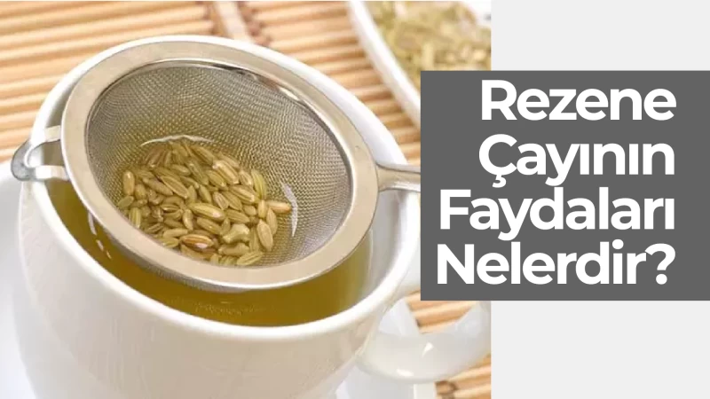 Rezene Çayının Faydaları Nelerdir?