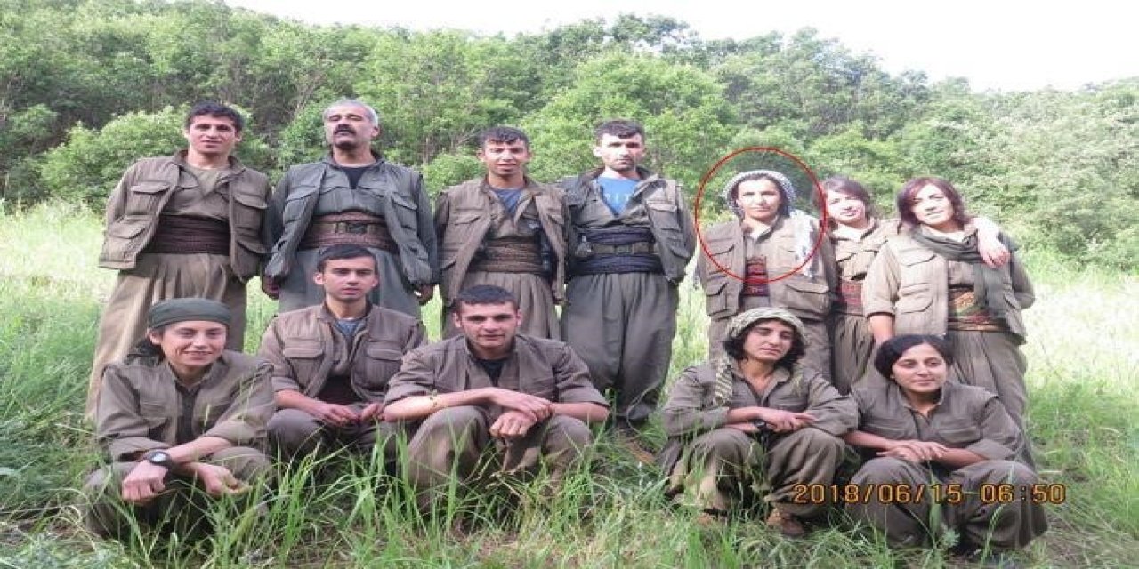 PKK’nın sözde alan sorumlusunu etkisiz hale getirdi