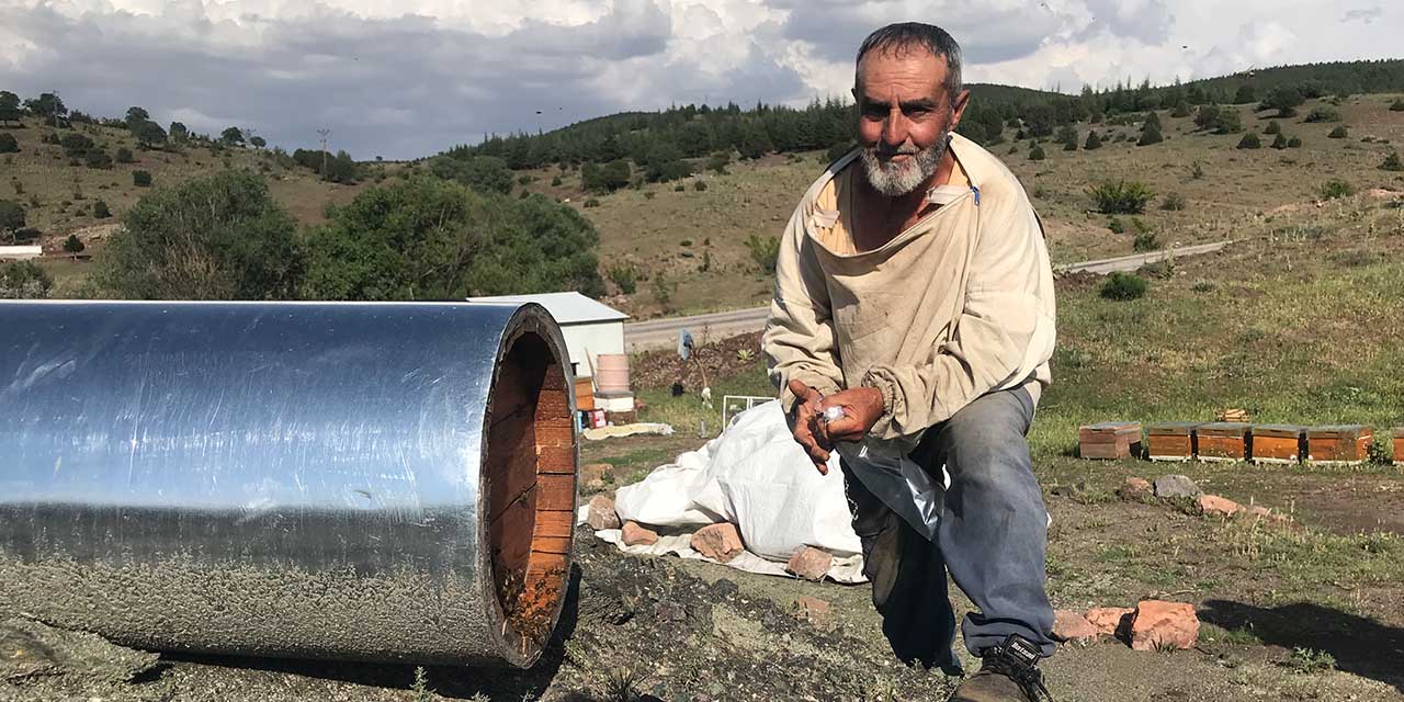 Kırıkkale’nin bitki çeşitliliği arıcıların ilgisini çekiyor