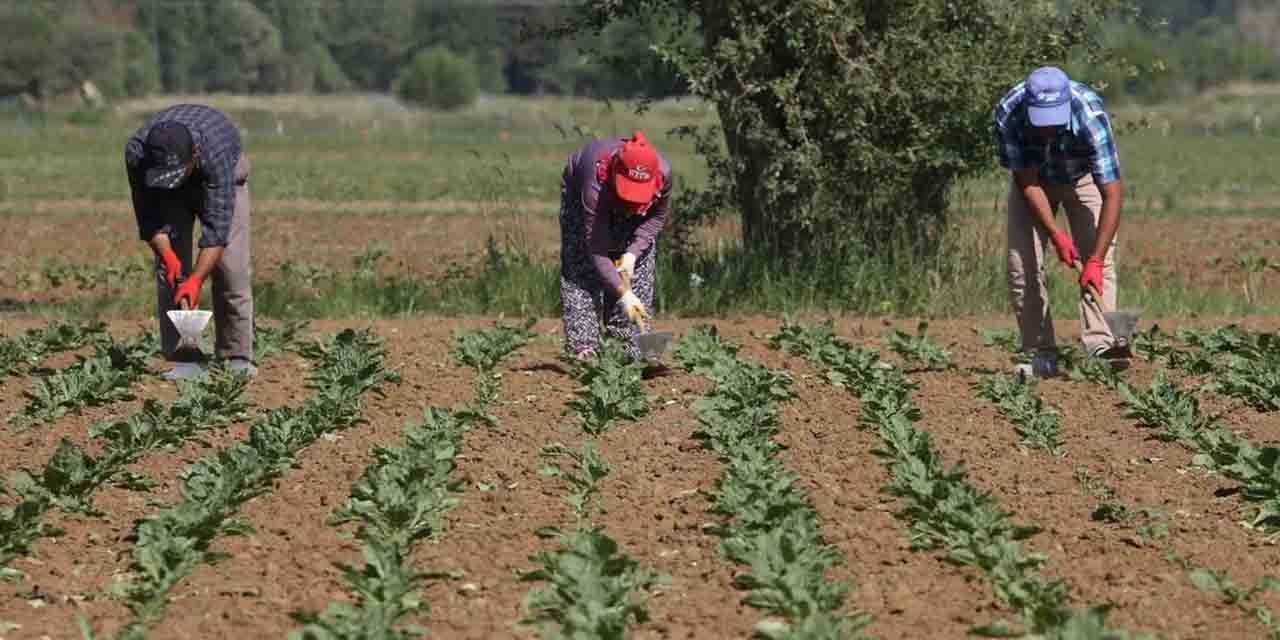 Kırıkkale’de herkes bu projeye başvuru yapıyor