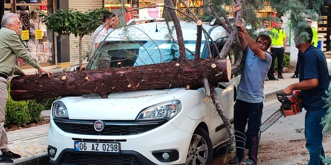 Zafer Caddesi’nde ağaç arabanın üzerine devrildi