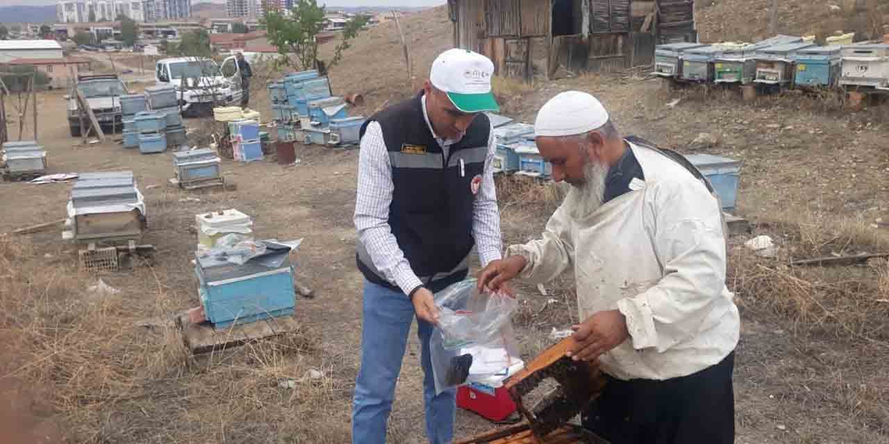 Arı kovanları denetleniyor