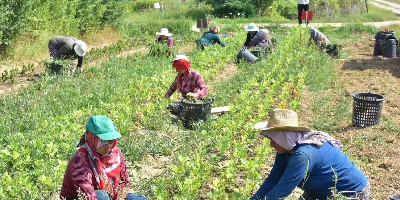 Kırıkkale’de bu işçilerin ücretleri arttı