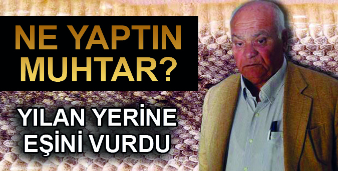 Yılan yerine, Eşini vurdu