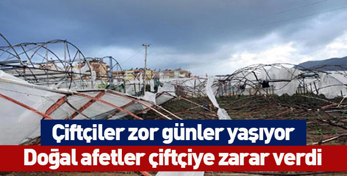 Doğal afetler çiftçiye zarar verdi