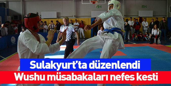 Wushu müsabakaları nefes kesti