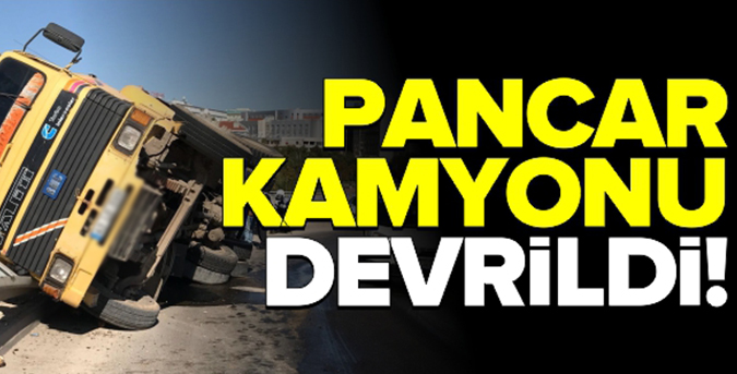 Pancar yüklü kamyon devrildi