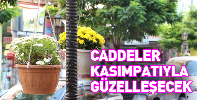 Caddeler Kasımpatıyla güzelleşecek