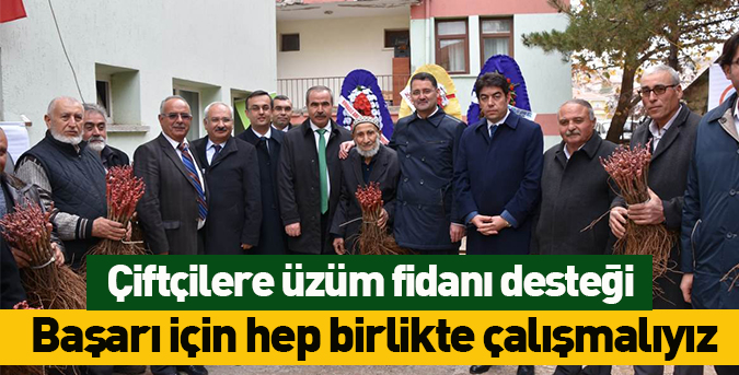 Çiftçilere üzüm fidanı desteği