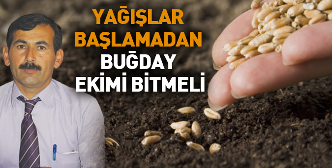 Yağışlar başlamadan buğday ekimi bitmeli