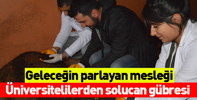 Üniversitelilerden solucan gübresi