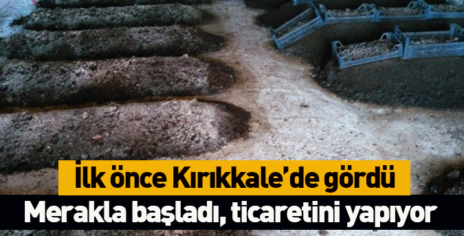 Merakla başladı, ticaretini yapıyor