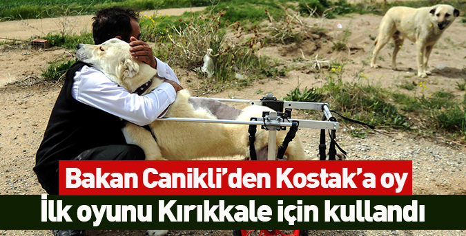 Canikli’den Kostak’a oy