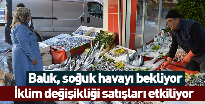 Balık, soğuk havayı bekliyor