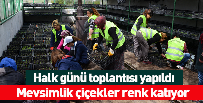 Mevsimlik çiçekler renk katıyor