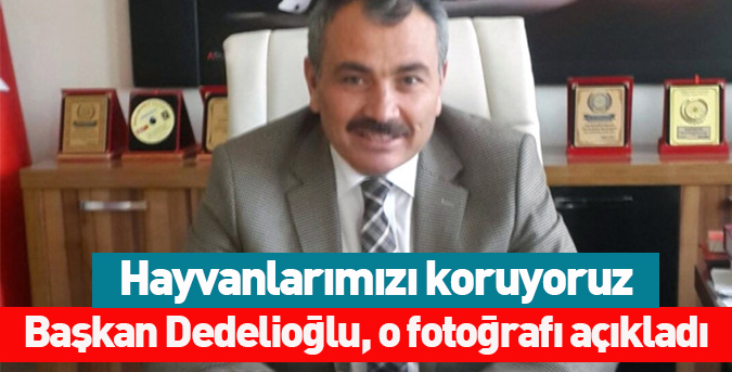 Hayvanlarımızı koruyoruz