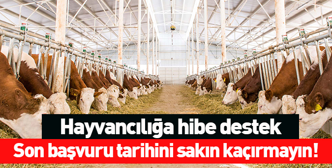 Hayvancılığa hibe destek