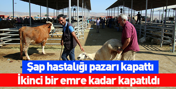 Şap hastalığı pazarı kapattı