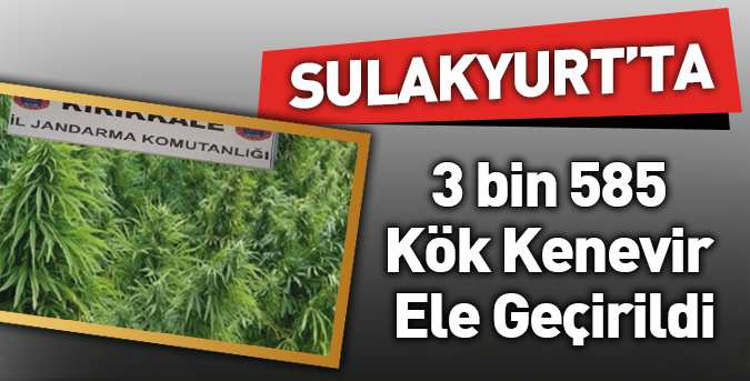 Sulakyurt'ta Kök Kenevir Ele Geçirildi