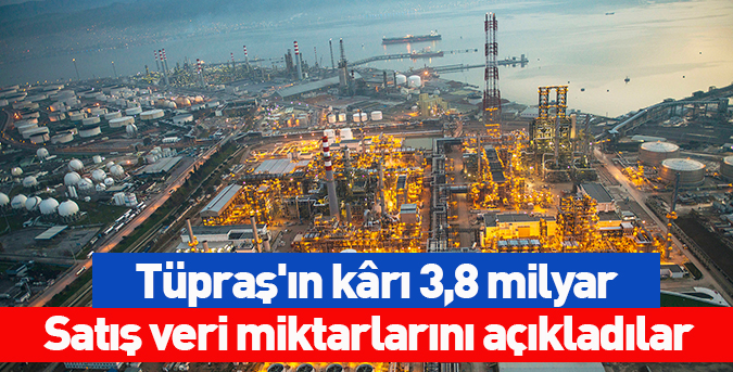 Tüpraş'ın kârı 3,8 milyar