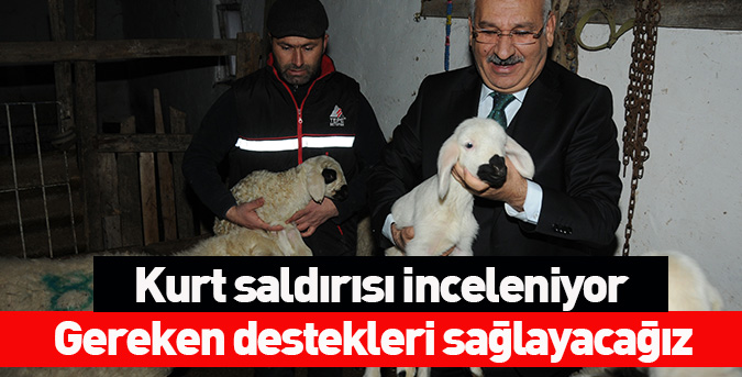 Kurt saldırısı inceleniyor