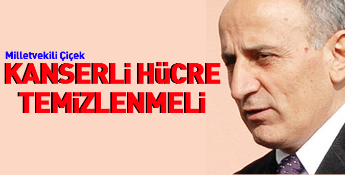 Kanserli hücre temizlenmeli