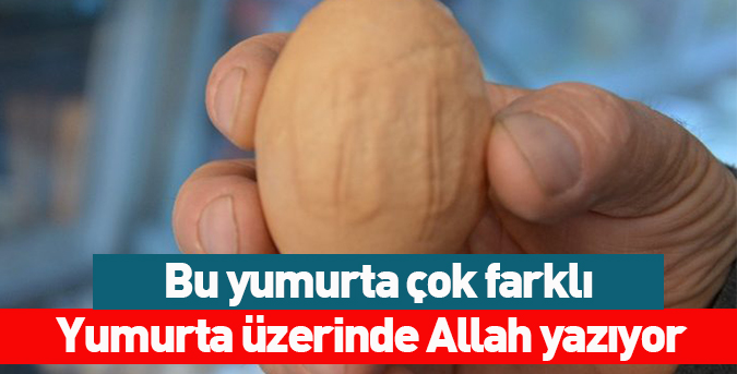 Yumurta üzerinde Allah yazıyor