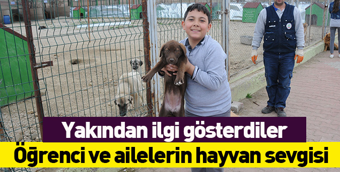 Öğrenci ve ailelerin hayvan sevgisi