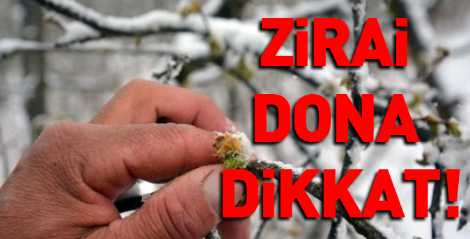 Zirai dona dikkat!