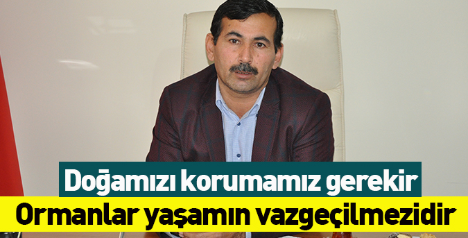 Ormanlar yaşamın vazgeçilmezidir