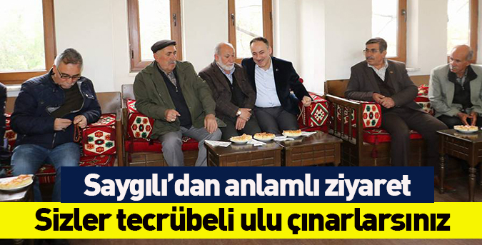 Sizler tecrübeli ulu çınarlarsınız