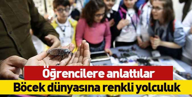 Böcek dünyasına renkli yolculuk