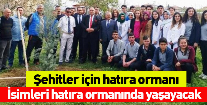 Şehitler için hatıra ormanı