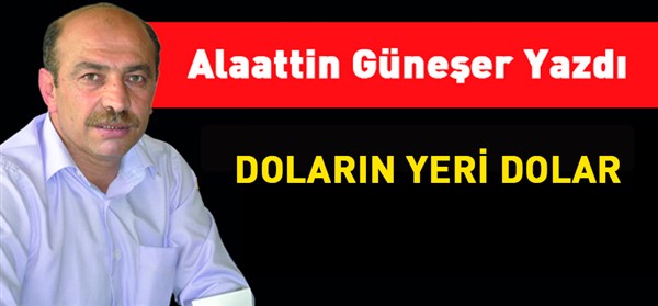 Doların yeri dolar