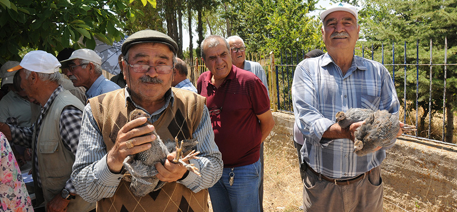 Köylülere tavuk dağıtıldı