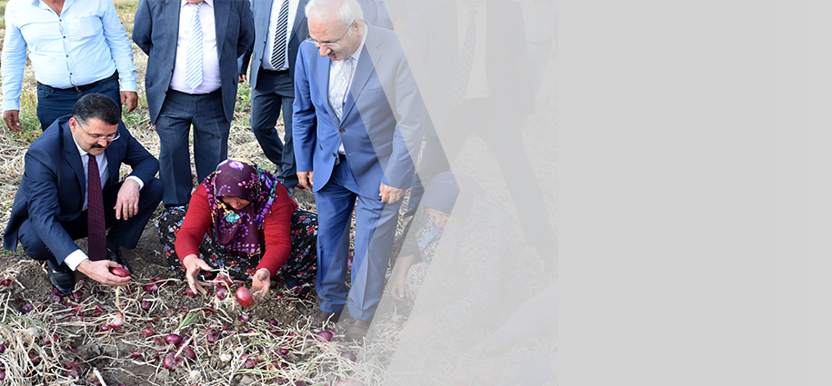 Kırıkkale'de "Tarla Günü" etkinliği