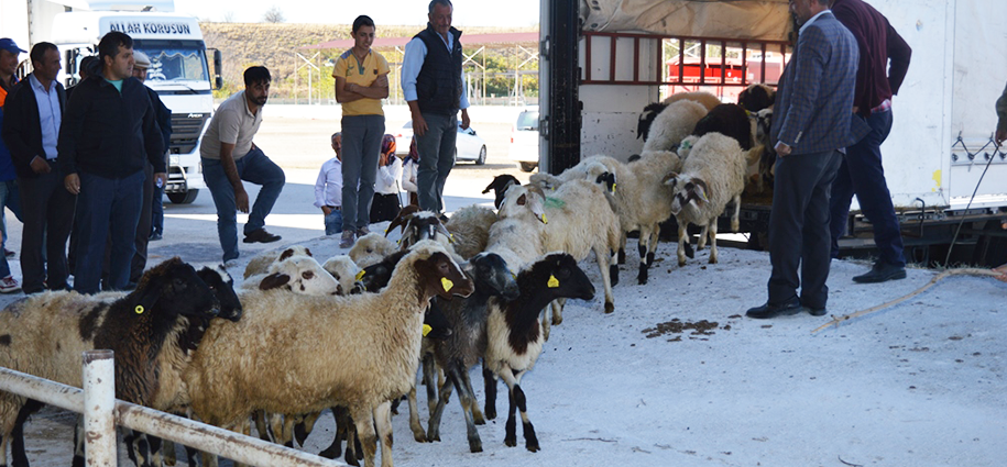 Kırıkkale'de 135 genç çiftçi hibe desteği alacak