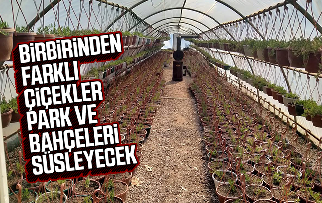 Park ve bahçelerde bahar çalışmaları başladı