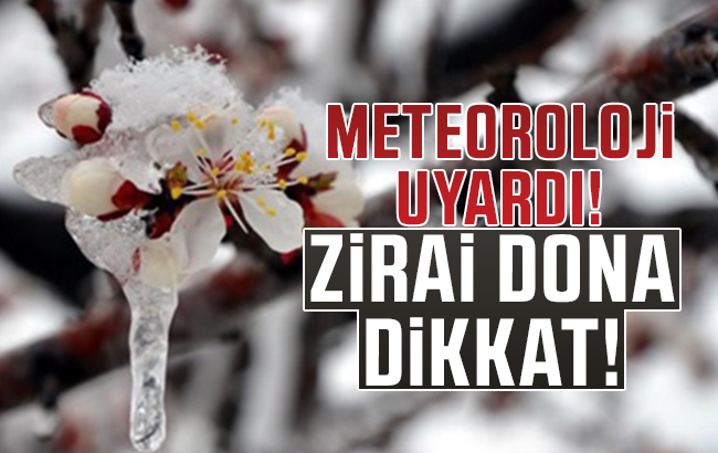 Meteoroloji’den zirai don uyarısı