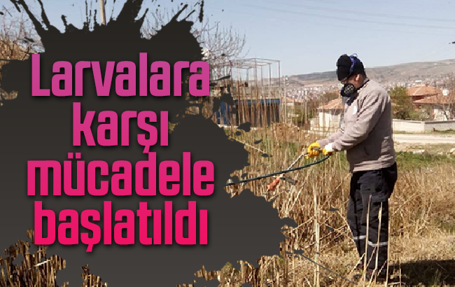 Larvalara karşılık mücadele başlatıldı