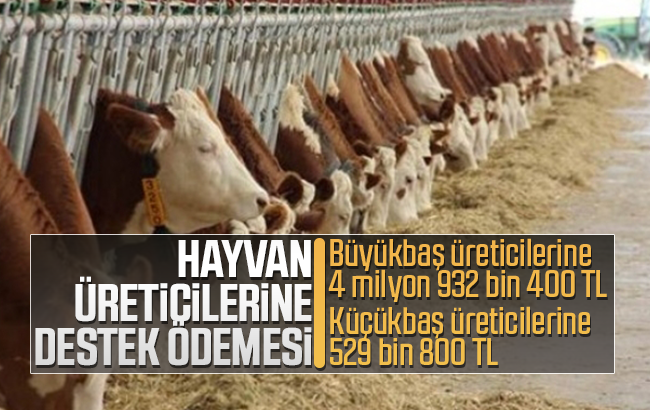 Hayvan üreticilerine destek