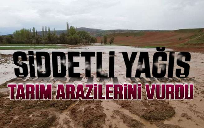 Kırıkkale'de  şiddetli yağış tarım arazilerini vurdu