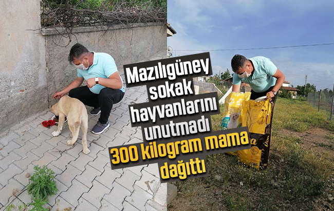 Mazılıgüney sokak hayvanlarını unutmadı