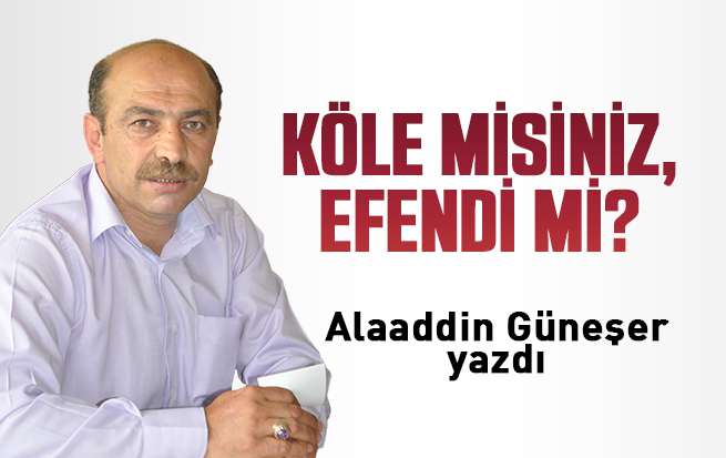 Köle misiniz, efendi mi?