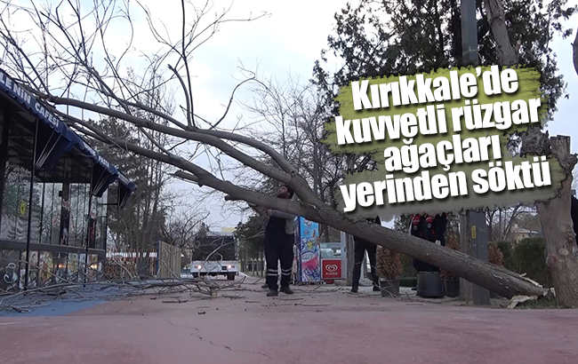 Kırıkkale’de kuvvetli rüzgar ağaçları yerinden söktü, 1 işyeri zarar gördü