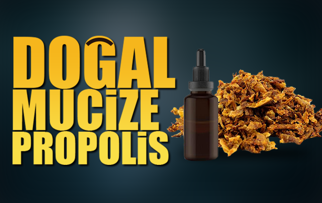 Propolisin faydaları nelerdir? Propolis nasıl kullanılır? Propolis nedir?