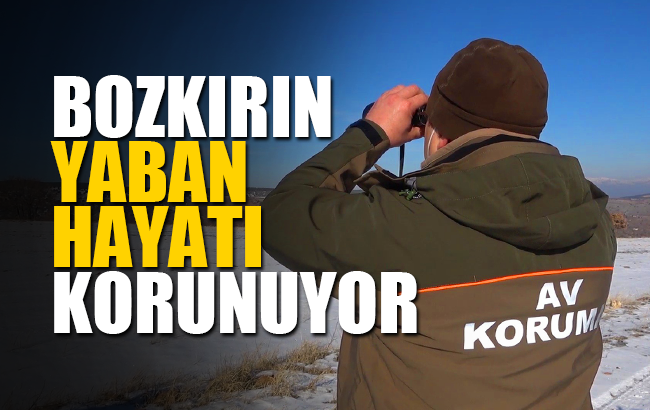 Bozkırın yaban hayatı korunuyor