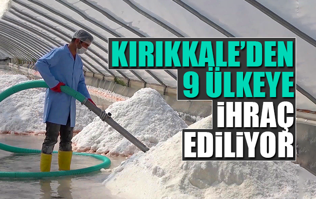 Dünyada nadir bulunan mineral deposu tuz 9 ülkeye ihraç ediliyor