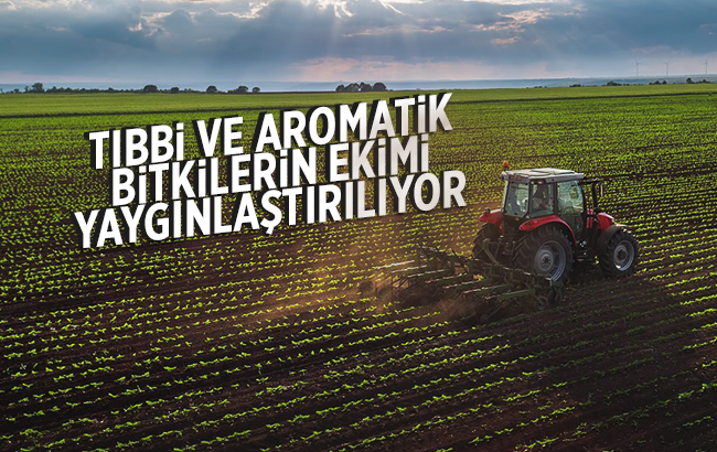 Tıbbi ve aromatik bitkilerin ekimi yaygınlaştırılıyor