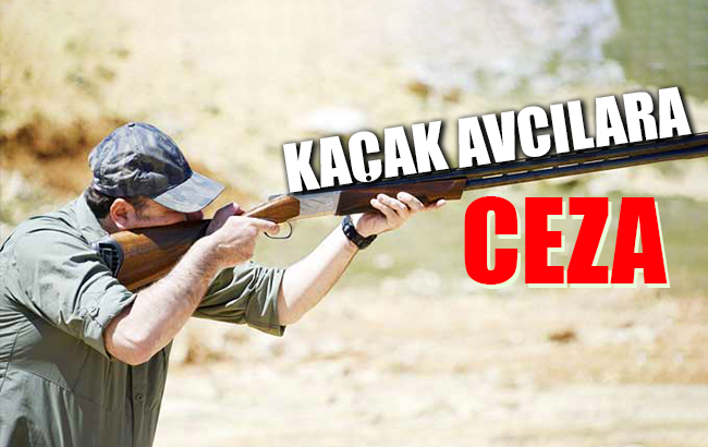 Kaçak avcılara ceza!